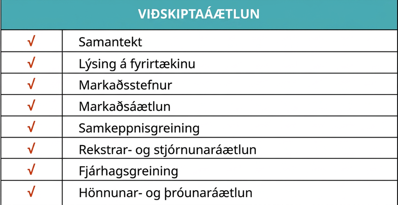 Viðskiptaáætlun sem inniheldur stjórnendasamantekt, lýsingu fyrirtækis, markaðsstefnu, markaðsáætlun, samkeppnisgreiningu, rekstrar- og stjórnunaráætlun, fjárhagsgreiningu og hönnunar- og þróunaráætlun.