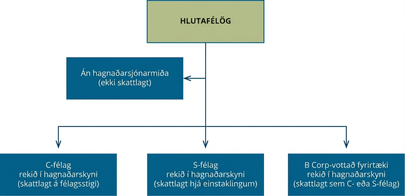 Flæðirit með Hlutafélög efst. Ör vísar niður að þremur reitum: C-félag í hagnaðarskyni (skattlagt hjá félaginu), S-félag í hagnaðarskyni (skattlagt hjá einstaklingum) og B Corp-vottað fyrirtæki í hagnaðarskyni (skattlagt sem C- eða S-félag). Sérstök lína tengist einnig reitnum Félag án hagnaðarsjónarmiða (ekki skattlagt).