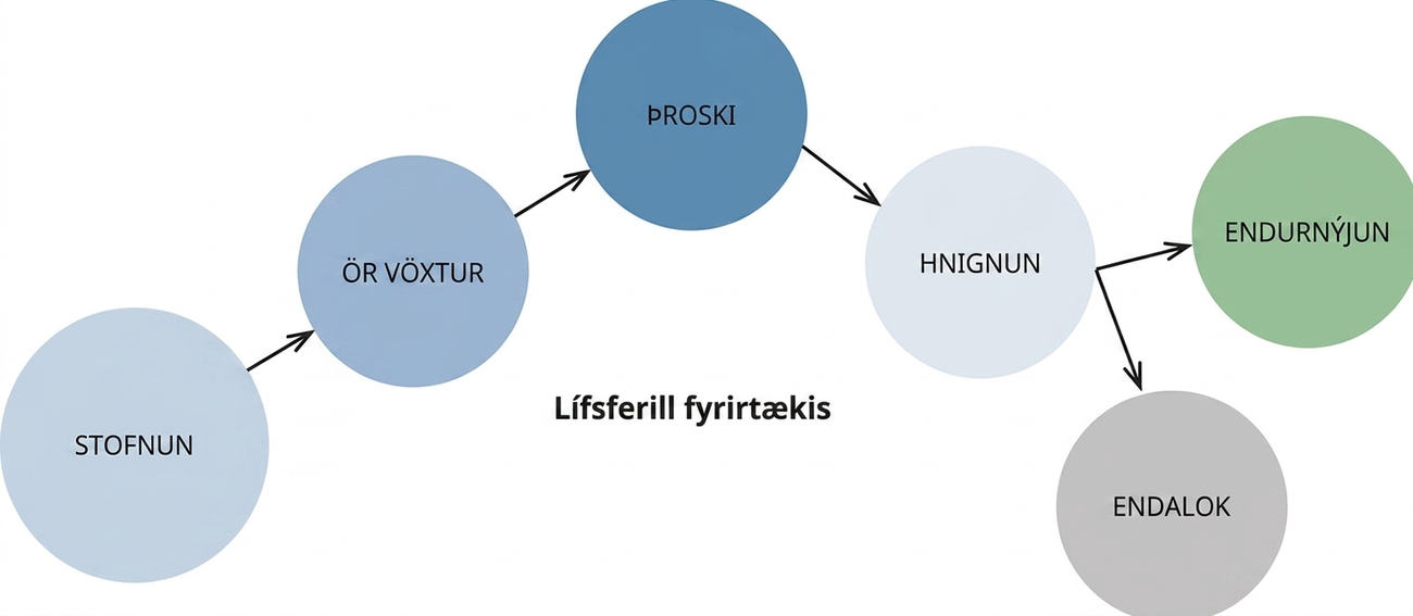 Stig lífsferils fyrirtækis eru stofnun, vöxtur, þroski og hnignun eða endurnýjun.