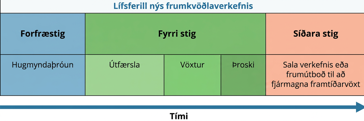 Lífsferill nýs frumkvöðlaverkefnis þróast með tímanum frá forfræsstigi (hugmyndaþróun), yfir á fyrstu stig (framkvæmd, vöxtur og þroski) og að síðustu stigum (sala verkefnis eða frumútboð til að fjármagna áframhaldandi vöxt).