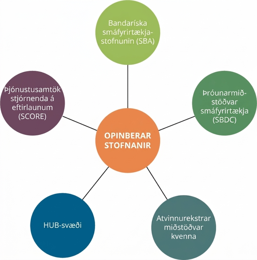 Skýringarmynd með opinberar stofnanir í miðju og tengingar við Small Business Administration (SBA), Small Business Development Centers (SBDCs), Women’s Business Centers, HUBZones, Service Corps of Retired Executives (SCORE), frumkvöðlasetur og viðskiptahraðla.