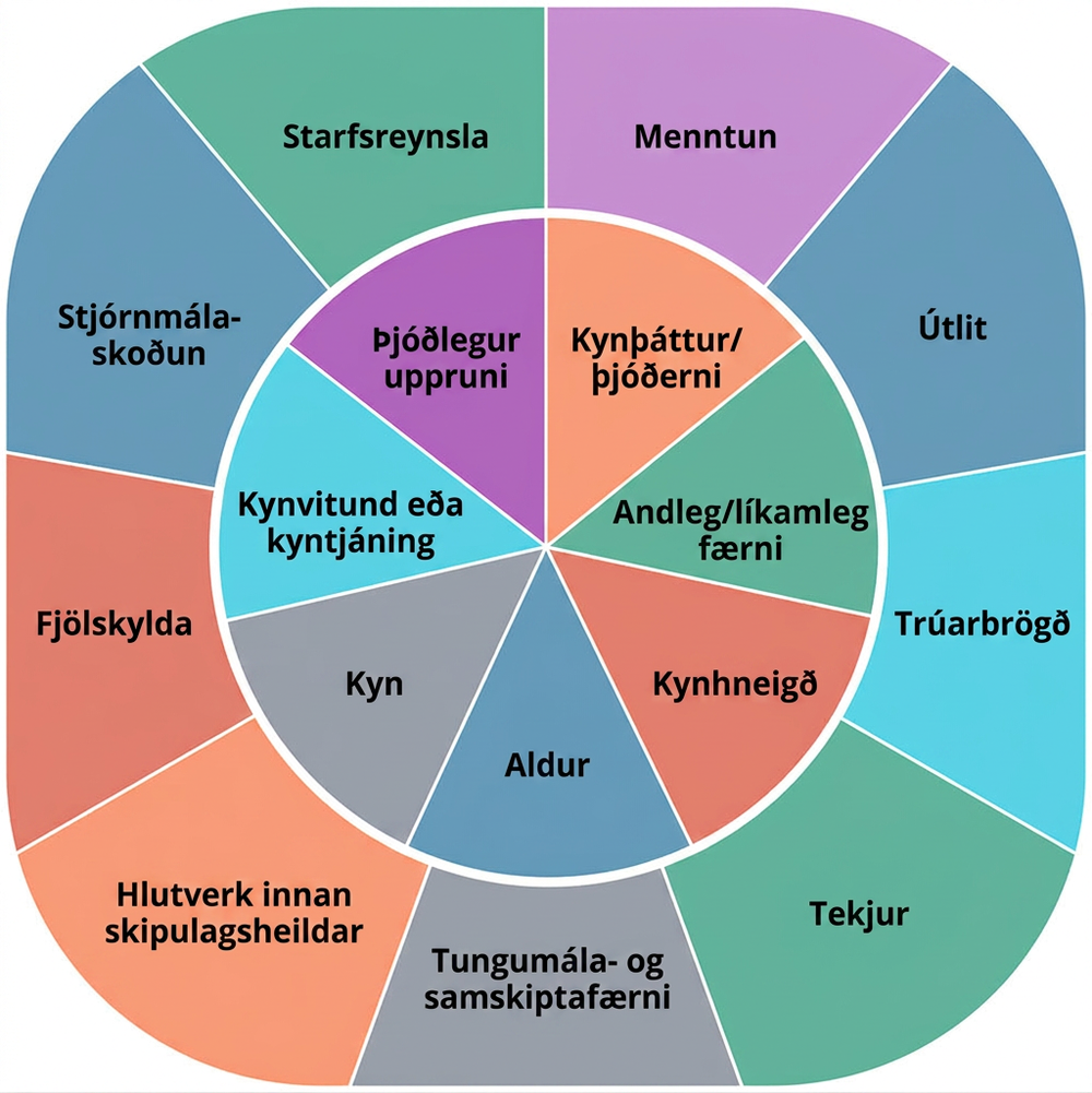 Skýringarmynd sýnir samtvinnunarhjól með tveimur sammiðja hringjum. Í ytri hringnum eru, án sérstakrar röðunar, stjórnmálaskoðun, menntun, trú, tungumál og samskiptafærni, fjölskylda og hlutverk. Í innri hringnum eru landsuppruni, kynþáttur og þjóðerni, kynhneigð, kyn, kynvitund eða kyntjáning, aldur og andleg eða líkamleg færni.