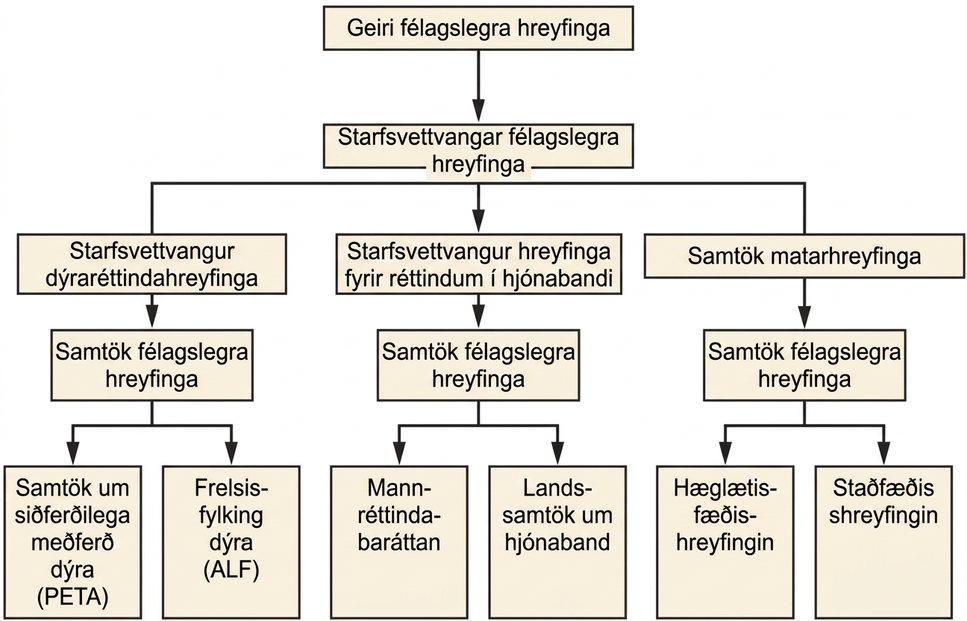 Flæðirit sýnir stig geira félagslegra hreyfinga. Efst er geiri félagslegra hreyfinga. Þar undir eru þrír starfsvettvangar: dýravernd, hjónabandsréttindi og matvælahreyfingar. Undir dýravernd eru samtök félagslegra hreyfinga, People for the Ethical Treatment of Animals (PETA) og Animal Liberation Front (ALF). Undir hjónabandsréttindum eru Human Rights Campaign og National Organization for Marriage. Undir matvælahreyfingum eru Slow Food Movement og Locavore Movement.