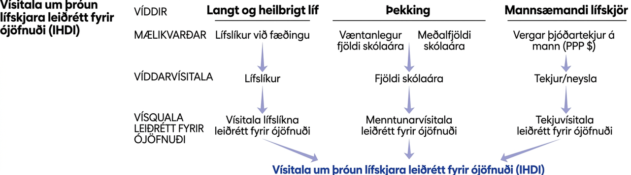 Myndin sýnir vísitölu um þróun lífskjara leiðrétta fyrir ójöfnuði (IHDI). Hún hefur þrjár víddir. Sú fyrsta er langt og heilbrigt líf, mælt með lífslíkum. Önnur er þekking, metin út frá væntum námsárum og meðalfjölda námsára. Sú þriðja er mannsæmandi lífskjör, mæld með tekjum á mann. Vísitala er reiknuð fyrir hverja vídd og meðaltal þeirra gefur lokavísitöluna neðst á myndinni.