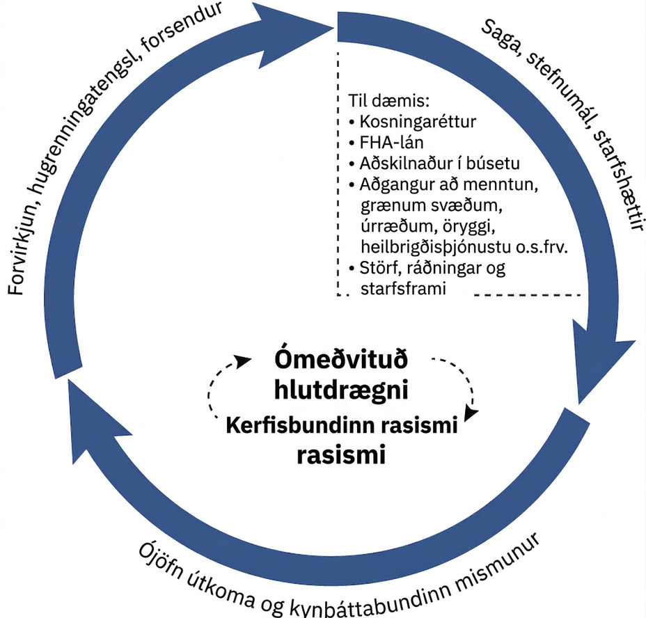 Hringrásarmynd sýnir ómeðvitaða hlutdrægni og kerfisbundinn rasisma í miðju með örvum sem tengja hugtökin. Umhverfis eru þrír flokkar: kveikjur, tengingar og ályktanir; saga, stefna og starfshættir; og ójöfn útkoma og kynþáttamunur. Textinn lýsir því hvernig ráðandi frásagnir og kynþáttamiðaðar formgerðir kenna fólki að telja fólk sem ekki er hvítt óæðra, hvernig kynþáttaflokkar réttlættu þrælahald og vernduðu óverðskulduð forréttindi hvíts fólks og hvernig stefnumótun skapar ójafna útkomu í heilsu, húsnæði, atvinnu, menntun og lífslíkum.