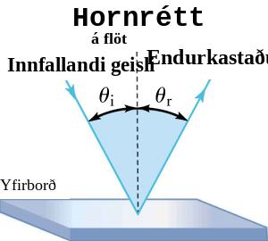 Sléttur flötur með lóðlínu sýnir innfallsgeisla og endurkastgeisla. Innfallshornið θᵢ og endurvarpshornið θᵣ eru bæði mæld frá lóðlínunni.