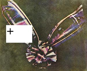 Ljósmynd af köflóttum tartan-borða sem bundinn er eins og slaufa.