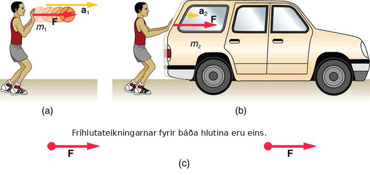 Þrjár myndir sýna sama kraft verka á ólíkan massa. Í (a) ýtir einstaklingur körfubolta til hægri með kraftinum F og boltinn fær hröðun a₁. Í (b) ýtir sami einstaklingur bíl með sama krafti F og bíllinn fær minni hröðun a₂. Í (c) eru kraftamyndirnar fyrir bæði kerfin sýndar eins.