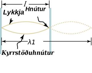 Einn kviður og tveir hnútar myndast í einfaldri standbylgju á streng.