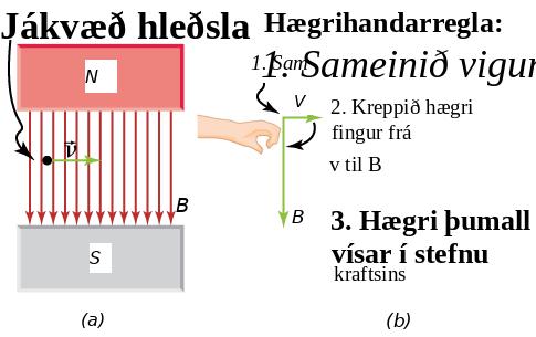 Róteind hreyfist í einsleitu segulsviði; hægrihandarreglan sýnir að krafturinn stefnir inn í blaðsíðuna.