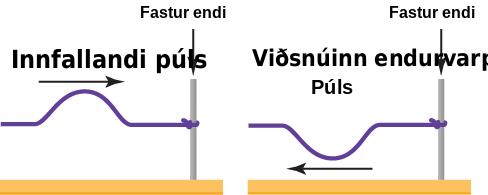 Bylgja ferðast til hægri, rekst á fastan enda, snýst lóðrétt við og ferðast til vinstri.