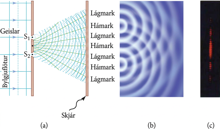 (a) Drawing of vertical lines to the left of a screen with two slits, labeled “S-one” and “S-two.” Vertical lines on the left are labeled “Wavefront.” They are overlaid with arrows labeled “Rays.” Two sets of overlapping circular arcs expand outward from the two slits to a screen at the right. The screen on the right is labeled “Screen.” Each set consists of alternating solid and dotted lines. A line from the point on the screen midway between the two slits extends to the center of the screen on the right, toward a label “Max.” Above the Max are other labels on the screen. They are “Min,” “Max,” and another “Min.” Lines run from the screen at the left to those labels at the right. The screen at the right also has a symmetrical arrangement of lines and labels “Min” and “Max” below the central Max. (b) Drawing of semicircles waves moving to the right from two points. (c) A vertical band of closely spaced horizontal red bands. There are about nine bands in the center with a dark space below, four bands that are somewhat dimmer, another dark space, and a still dimmer group of three bands. A symmetrical pattern of red bands and dark spaces and minima appears above the central maximum.