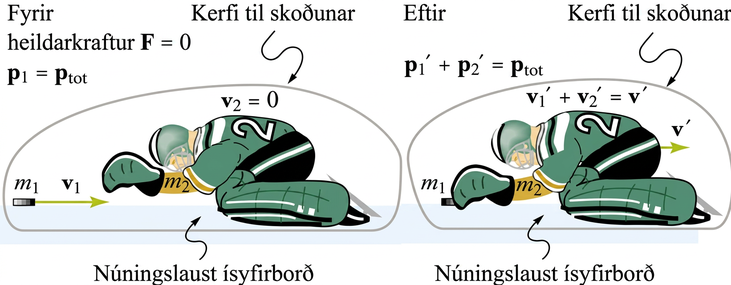Skýringarmynd með fyrir og eftir myndum af hokkípökk og markverði á núningslausum ís. Fyrir árekstur hreyfist pökkurinn m₁ að kyrrstæðum markverði m₂. Eftir árekstur loða pökkur og markvörður saman og hreyfast til hægri með sameiginlegum hraða v′.