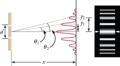 Two drawings showing diffraction by two slits. The first drawing, on the left shows, two vertical screens. The screen on the left has two slits separated by a vertical distance labeled “d.” A second screen is shown a to the right of the screen with the slits, separated by a horizontal distance labeled “x.” The vertical screen at the right shows a graph of a series of peaks and valleys that grow horizontally to the left. The tallest peak is at the center, with valleys and successively smaller peaks arranged symmetrically above and below it. A horizontal line runs from the point midway between the slits in the screen at the left through the central peak of the graph. A dotted line runs from that midway point through the first peak above the center. A second dotted line runs from the midway point through the second maximum. Those dotted lines make angles labeled “theta-one” and “theta-two” with the horizontal line. The peaks above the center are distances labeled “y-one” and “y-two” above the center. The second drawing, on the right shows, a vertical array of horizontal bright bands on a black background. They are aligned with the peaks of the graph in the first drawing. The bands are all of the same length but are of differing widths. The widest band is in the center and successively narrower bands are arranged symmetrically above and below it.