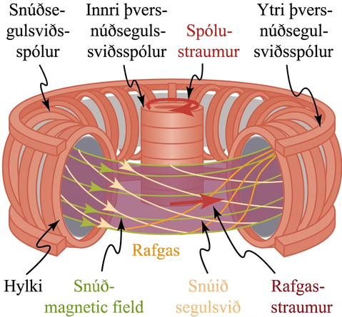 Tokamak-hylki notar segulsvið til að einangra ofurheitt rafgas fyrir kjarnasamruna.