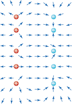 This diagram shows five red dots forming a vertical column on the left side and five blue dots forming a second vertical column on the right side. Each red dot is marked with a “plus” symbol, and each blue dot is marked with a “minus” symbol. Surrounding these dots are small arrows pointing in various directions. Between the two columns of dots, most of the arrows point rightward, from the red dots toward the blue ones. The arrows around each red dot point away from it, and most arrows around each blue dot point toward it.