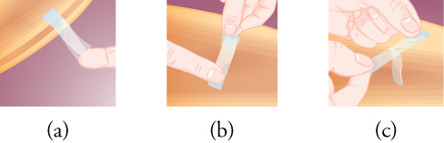 This image has three parts. Part a shows two pieces of sticky tape, with one stuck over the other, and with the lower tape attached to the edge of an arc-shaped object. The two tapes are slightly separated from each other at one end. In part b, someone's hand holds the two pieces of tape from the end where they are separated, while a finger touches the other end. Part c shows two hands pulling the two pieces of tape apart.