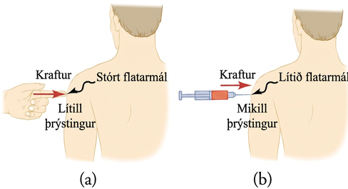 Í hluta a potar fingur í handlegg manns. Í hluta b potar nál í handlegginn með sama krafti en á minna flatarmáli, þannig að þrýstingurinn verður meiri.