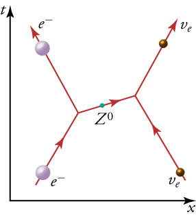 Feynman-mynd sýnir rafeind og rafeindarfiseind skiptast á sýndar-Z⁰-bóseind sem miðlar veika kjarnakraftinum.