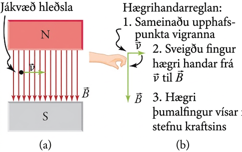 Róteind hreyfist í einsleitu segulsviði; hægrihandarreglan sýnir að krafturinn stefnir inn í blaðsíðuna.