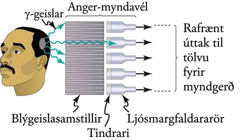 Skýringarmynd af Anger-myndavél þar sem gammageislar fara um blýplötu, mynda ljósblossa í tindrurum og merkið er notað til myndgerðar.