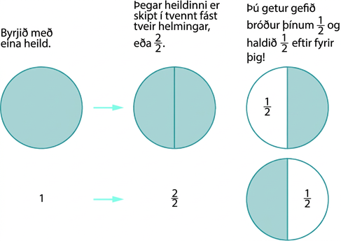Skyggður hringur er sýndur og talan 1 stendur undir honum. Örvar benda á skyggðan hring sem er skipt í 2 jafna hluta og 2 yfir 2 stendur undir honum. Við hliðina eru tveir hringir sem hvorum er skipt í 2 jafna hluta. Hægri helmingur efri hringsins er skyggður og vinstri helmingur neðri hringsins er skyggður.