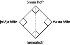 Hafnaboltavöllur er sýndur sem ferningur á horni. Neðsta hornið er merkt heimahöfn og punktalína liggur þaðan að efsta horninu, sem er merkt önnur höfn. Hægra hornið er merkt fyrsta höfn og vinstra hornið þriðja höfn.