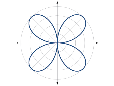 Graf rósarinnar r=4 sin(2 theta). Hún hefur fjögur jafndreifð krónublöð sem hvert er 4 að lengd.