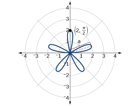 Graf rósarinnar r=2sin(5theta). Fimm jafndreifð krónublöð ganga út frá upphafspunktinum. Punkturinn (2, pi/2) á jaðrinum er merktur.
