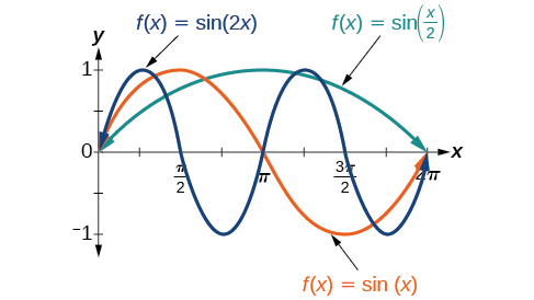 Graf með þremur ferlum. x-ásinn nær frá 0 til 2π og y-ásinn frá −1 til 1. Fyrsti ferillinn er graf af sin(x) yfir eina heila lotu. Annar er graf af sin(2x) yfir tvær lotur. Þriðji er graf af sin(x/2) yfir hálfa lotu.