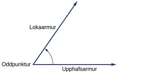 Teikning af horni þar sem upphafsarmur, lokaarmur og oddpunktur eru merktir.