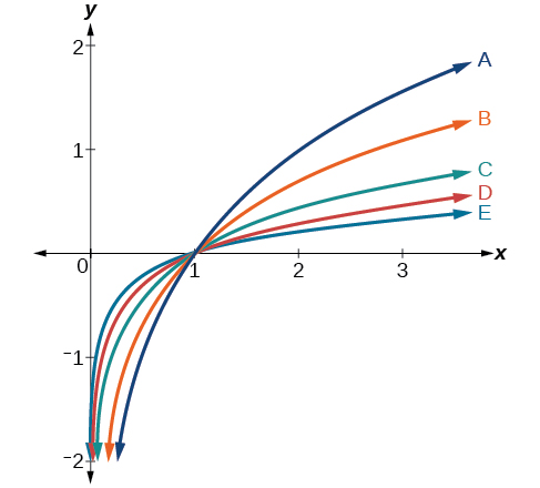 Gröf fimm vaxandi lografalla, merkt A, B, C, D og E. Öll fara í gegnum (1, 0) og hafa lóðfelluna x = 0. Hægra megin við x = 1 er A efst, síðan B, C og D, en E neðst. Vinstra megin við x = 1 snýst röðin við.