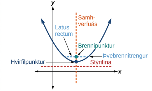 Myndin sýnir fleygboga í kartesísku hnitakerfi og merkir helstu rúmfræðilegu einkenni hans. Blái ferillinn táknar fleygbogann sjálfan. „Hvirfilpunktur“ er merktur þar sem fleygboginn snýr við. Innan ferilsins er „brennipunktur“ merktur, en hann gegnir lykilhlutverki í skilgreiningu fleygbogans. Appelsínugul strikalína merkt „samhverfuás“ liggur lóðrétt um bæði hvirfilpunktinn og brennipunktinn. Neðan hvirfilpunktsins er lárétt rauð strikalína sem sýnir „stýrilínuna“. Að lokum er lárétt blátt línustrik sem liggur um brennipunktinn og nær út að fleygboganum merkt „þverbrennistrengur“.