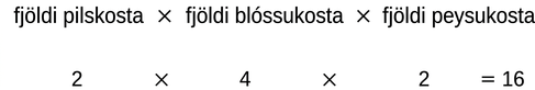 Fjöldi pilskosta (2) margfaldaður með fjölda blóssukosta (4) og fjölda peysukosta (2) er 16.