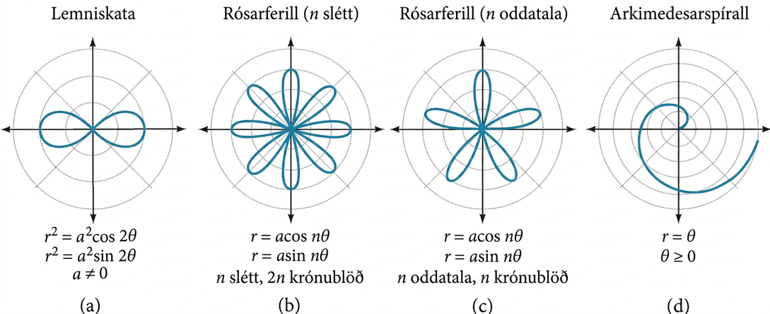 Fjögur gröf hlið við hlið í yfirliti. (A) Lemniskötur: r² = a²cos(2θ) eða r² = a²sin(2θ), þar sem a er ekki núll. (B) Rós með sléttu n: r = acos(nθ) eða r = asin(nθ); krónublöðin eru 2n. (C) Rós með oddatölu n: r = acos(nθ) eða r = asin(nθ); krónublöðin eru n. (D) Vefja Arkimedesar: r = θ og θ ≥ 0.