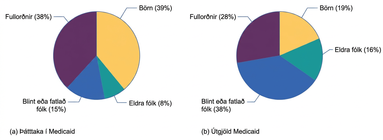 Tvö söguleg kökurit. Þátttakendur í Medicaid skiptast í börn 39%, fullorðna 38%, blint eða fatlað fólk 15% og eldra fólk 8%. Útgjöld skiptast í blint eða fatlað fólk 38%, fullorðna 28%, börn 19% og eldra fólk 16%.