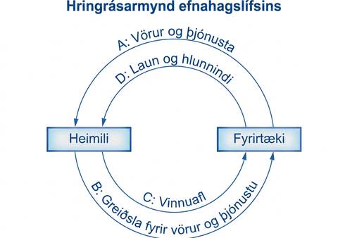Ytri örvar hringrásarmyndarinnar tákna vöru- og þjónustumarkað en innri örvarnar vinnumarkað. Ytri örvarnar sýna að fyrirtæki afhenda heimilum vörur og þjónustu og heimilin greiða fyrirtækjunum í staðinn. Innri örvarnar sýna að heimilin leggja fyrirtækjunum til vinnuafl og fá í staðinn greidd laun og hlunnindi.
