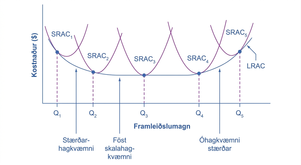 Fimm U-laga SRAC-ferlar mynda safn utan um LRAC-ferilinn; LRAC snertir lægsta feril við hvert framleiðslumagn og SRAC₃ við Q₃.