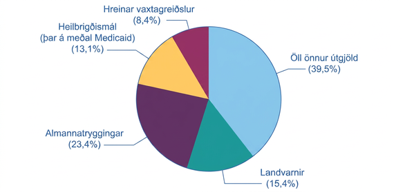 Kökurit yfir útgjöld bandaríska alríkisins 2019: Social Security 23,4%, landvarnir 15,4%, heilbrigðismál 13,1%, nettóvextir 8,4% og öll önnur útgjöld 39,5%.