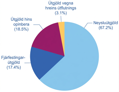 Kökurit sýnir fjóra útgjaldaþætti VLF: neyslu, fjárfestingu, hið opinbera og hreinan útflutning. Neysla er 67,2%, hið opinbera 18,5%, fjárfesting 17,4% og hreinn útflutningur 2,1%.