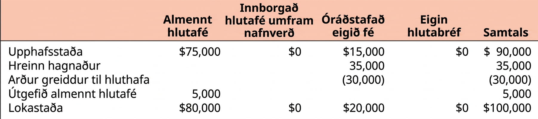 Eiginfjáryfirlit hluthafa fyrir Clear Lake Sporting Goods sem sýnir upphafsstöður, útgáfu hlutafjár, hreinan hagnað, arð og lokastöður eiginfjárliða.