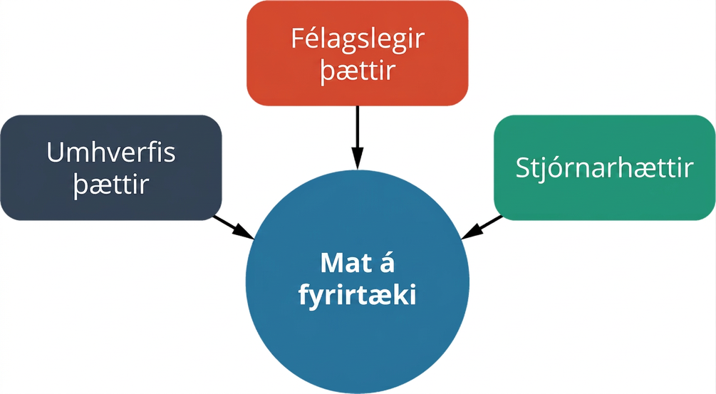 Skýringarmynd sem sýnir mat á fyrirtæki í miðjuhring; umhverfislegir þættir, félagslegir þættir og stjórnarhættir eru sýnd með örvum sem þrjú aðskilin inntök í matið.