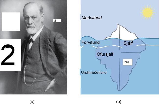 (a)A photograph shows Freud holding a cigar. (b) The mind’s conscious and unconscious states are illustrated as an iceberg floating in water. Beneath the water’s surface in the “unconscious” area are the id, ego, and superego. The area just below the water’s surface is labeled “preconscious.” The area above the water’s surface is labeled “conscious.”