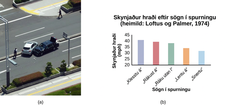 Ljósmynd sýnir tvo bíla sem hafa rekist saman og súlurit sýnir áætlaðan hraða eftir því hvaða sögn spyrjandi notaði.