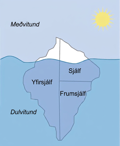 Meðvitað og ómeðvitað ástand hugans er sýnt sem ísjaki sem flýtur í vatni. Undir yfirborði vatnsins, á ómeðvitaða svæðinu, eru frumsjálf, sjálf og yfirsjálf. Svæðið fyrir ofan yfirborð vatnsins er merkt „meðvitað“. Stærstur hluti ísjakans er undir vatni.