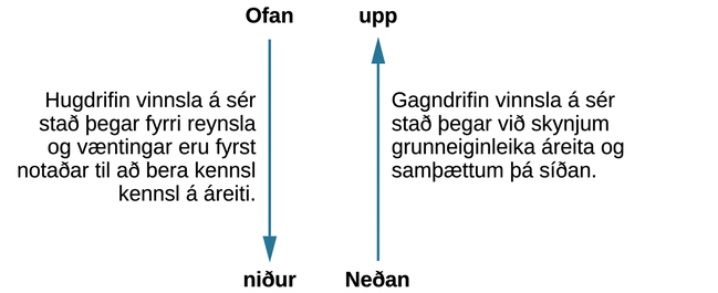 Myndin sýnir tvær lóðréttar örvar. Fyrri örin kemur frá orðinu „Top“ og vísar niður að orðinu „Down“. Skýringin segir að hugdrifin vinnsla verði þegar fyrri reynsla og væntingar eru fyrst notaðar til að þekkja áreiti. Seinni örin kemur frá orðinu „bottom“ og vísar upp að orðinu „up“. Skýringin segir að gagndrifin vinnsla verði þegar við nemum grunneinkenni áreita og samþættum þau síðan.