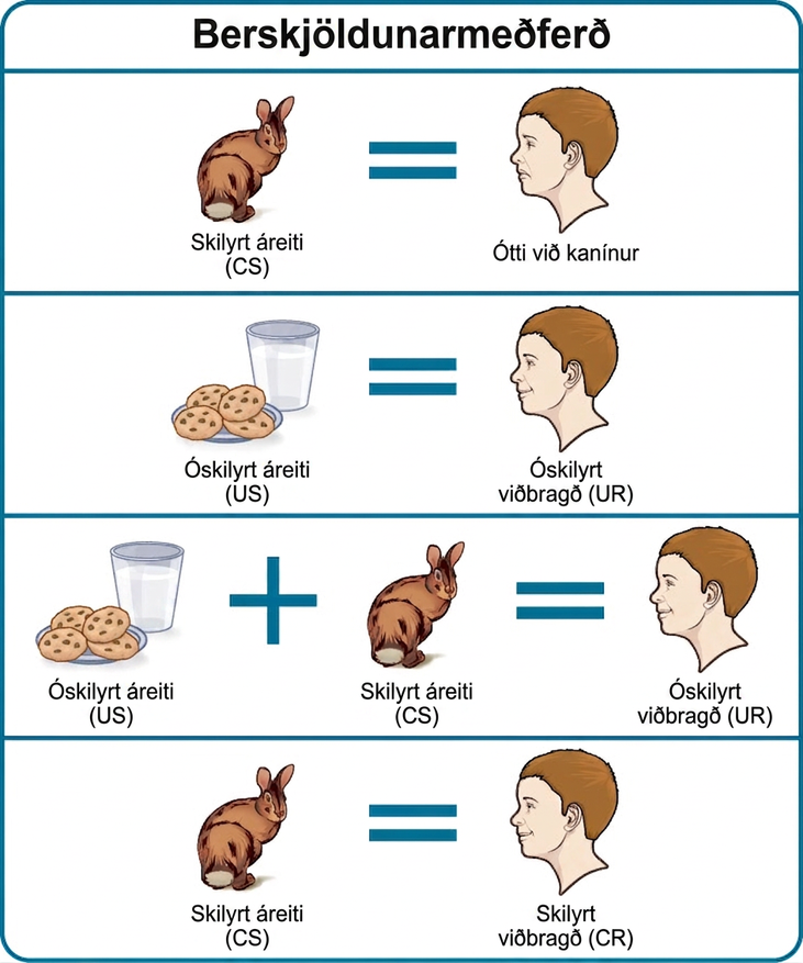 This figure, titled “Exposure Therapy,” illustrates the exposure therapy strategy of Mary Cover Jones to rid a person of the fear of rabbits. The first of four levels depicts an image of a person and a rabbit with an equals sign between them. Under the rabbit reads “conditioned stimulus (CS),” and under the person reads “fear of rabbits.” The second level depicts an image of milk and cookies, labeled “unconditioned stimulus (US),” and on the other side of an equals sign there is a picture of the same person labeled “unconditioned response (UR).” The third level shows the milk and cookies, labeled “unconditioned stimulus (US),” and rabbit, labeled “conditioned stimulus (CS),” to the left and right of a plus sign, with the person on the other side of an equals sign. The label “unconditioned response (UR) is below the person.” The final level shows the person and the rabbit separated by an equals sign. This time the rabbit is labeled “conditioned stimulus (CS)” and the person is labeled “conditioned response (CR).”
