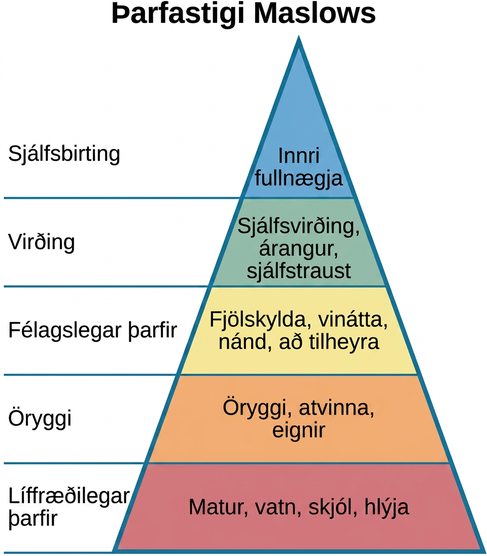 Þríhyrningi er skipt í fimm lóðrétt þrep. Frá toppi til botns eru þrepin sjálfsbirting, virðing, félagslegar þarfir, öryggi og lífeðlislegar þarfir, með samsvarandi dæmum eins og innri fullnægju, sjálfsvirði, fjölskyldu, öryggi, mat, vatni og skjóli.