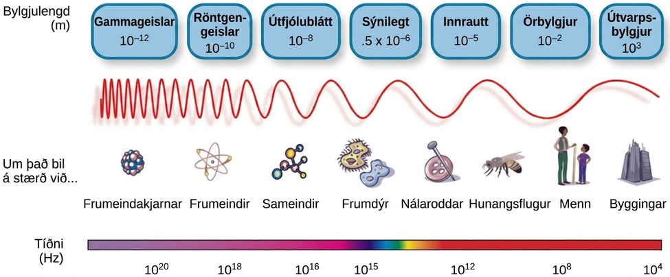 Myndin sýnir bylgjulengd, tíðni og stærð hluta þvert yfir rafsegulrófið. Efst eru bylgjulengdir sýndar frá stuttum til langra, ásamt bylgjumynd þar sem tíðnin eykst. Bylgjulengdirnar eru gefnar í metrum fyrir gammageisla, röntgengeisla, útfjólublátt ljós, sýnilegt ljós, innrautt ljós, örbylgjur og útvarpsbylgjur. Annar hluti myndarinnar ber yfirskriftina um það bil á stærð við og sýnir atómkjarna, atóm, sameindir, frumdýr, títuprjónsodda, hunangsflugur, menn og byggingar. Neðst er lína merkt tíðni með gildum í hertz; liturinn breytist frá fjólubláu til rauðs með litum sýnilega litrófsins á milli.