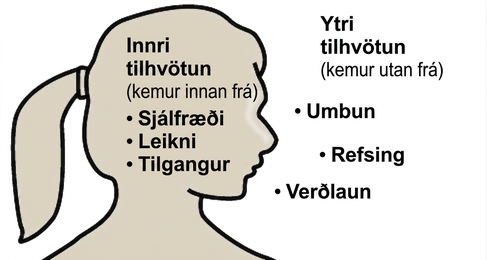 Skýringarmynd sýnir efri hluta líkama. Inni í höfðinu standa orðin „innri tilhvötun (innan frá)“ og þrjú atriði: sjálfræði, leikni og tilgangur. Fyrir utan útlínu líkamans standa orðin „ytri tilhvötun (utan frá)“ og þrjú atriði: laun, refsing og umbun.